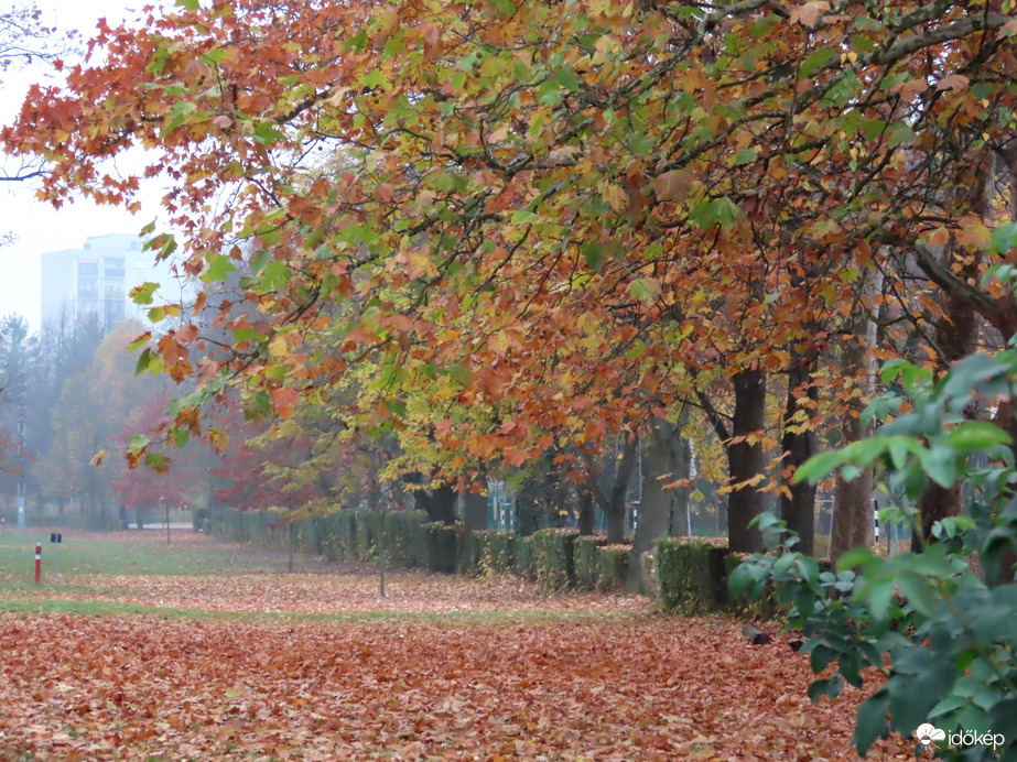Mindent avar borít 1.