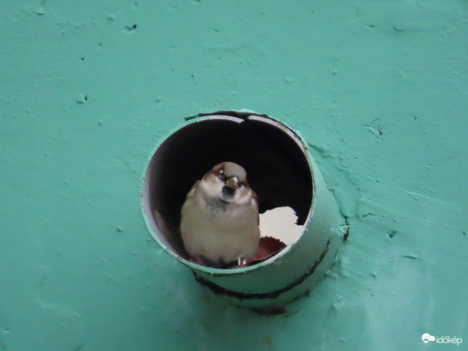 Itt nem fáztam éjszaka