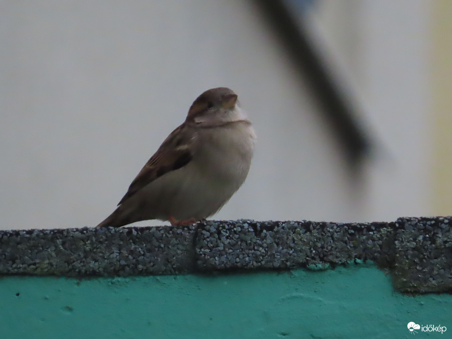 Magasabbról is körülnézek