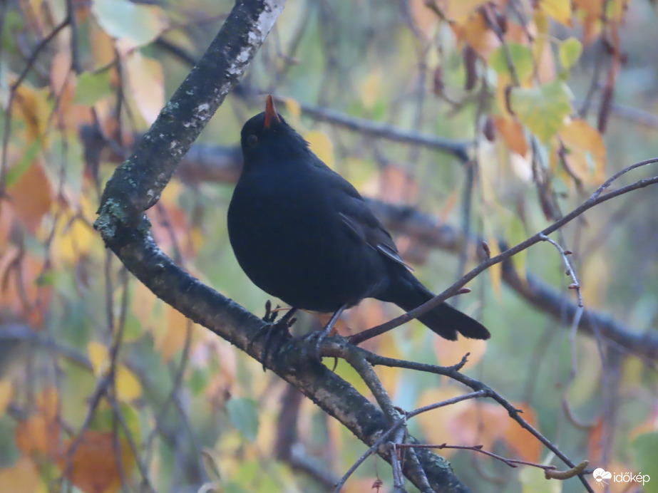 Mikor mehetek már inni?