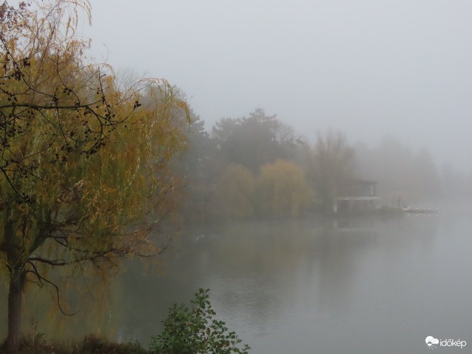 Ködös tópart 1.