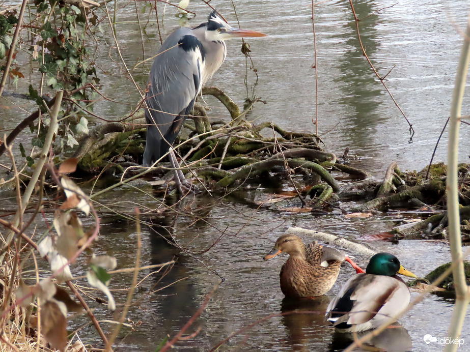 Egy kis torna pihenés közben