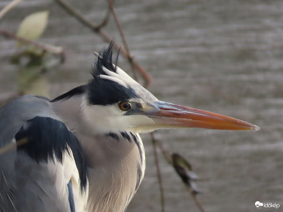 Tetszik a frizurám? A szél fésülte!