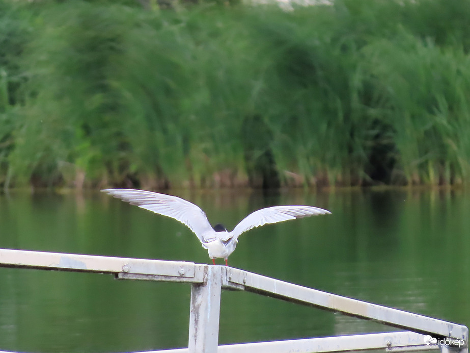 Repüléshez felkészülni!