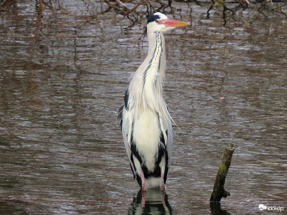 A szél már megérkezett! Várom a napsütést!
