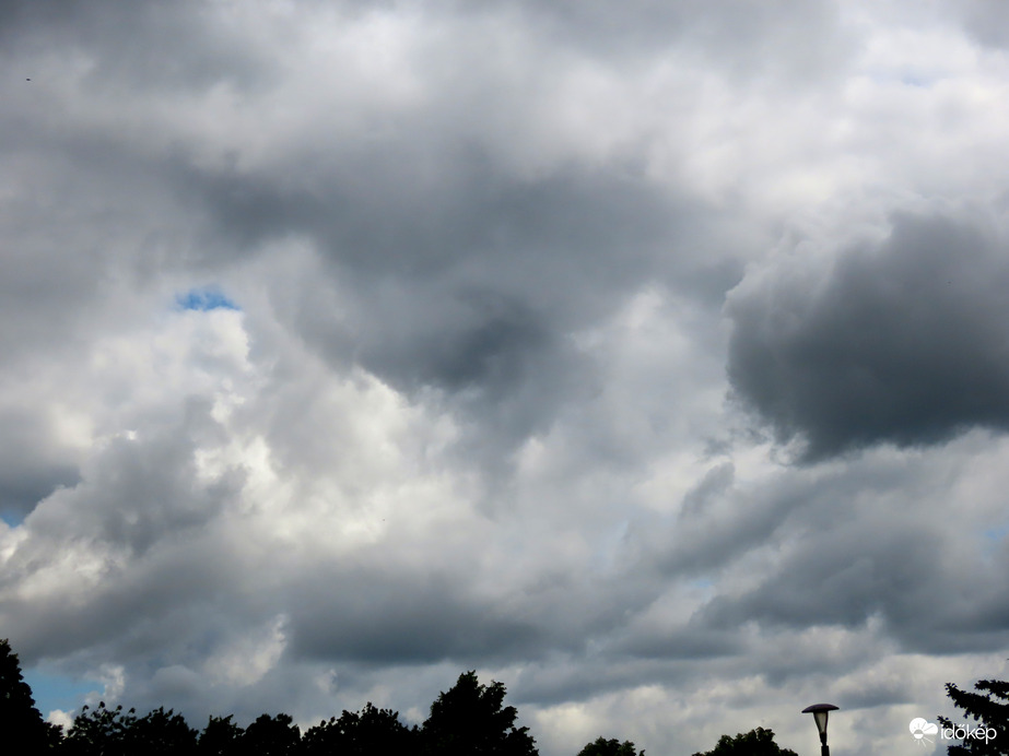 Délelőtti rohanók