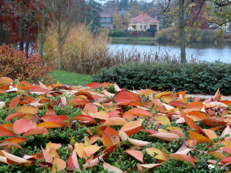 Őszi színek a tóparton