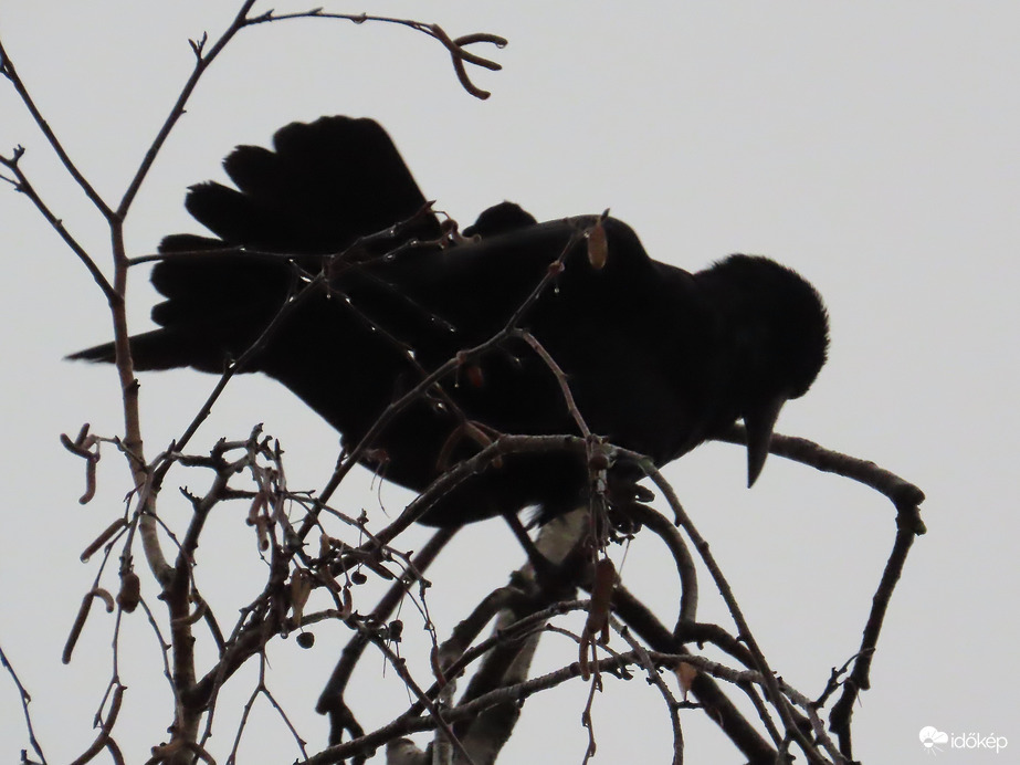 Sikerült elzavarnom!