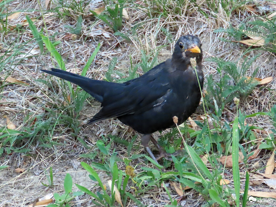 Siess, mert futok tovább!