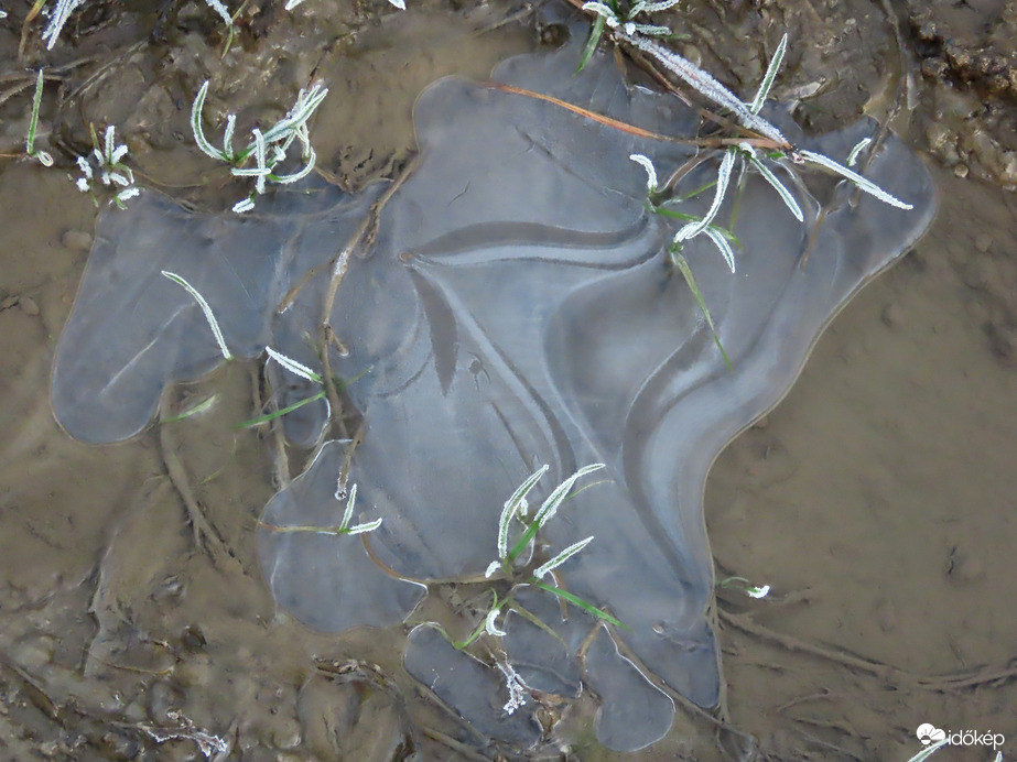 Jégvirág a pocsolyában