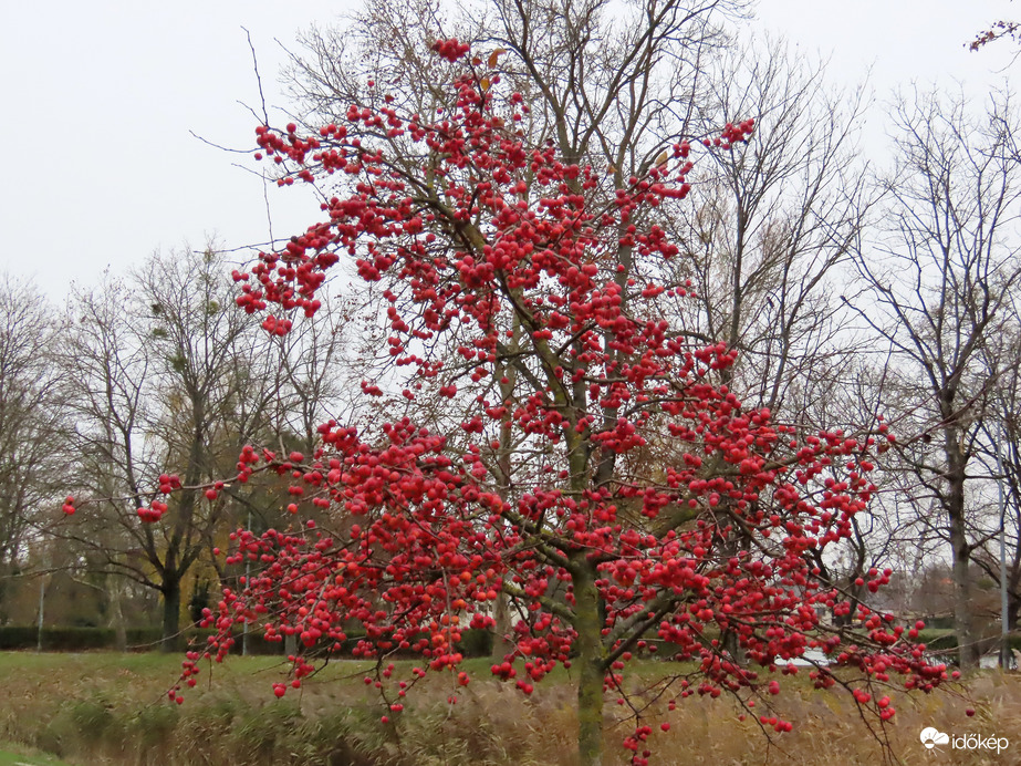 Szín a szürkeségben