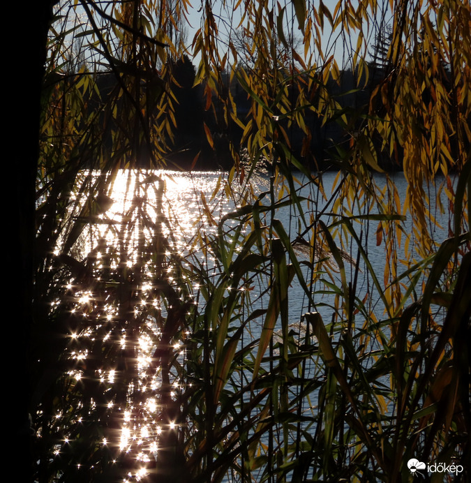 Csillámló víztükör