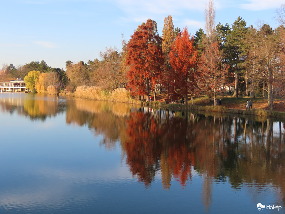 Napfényes vasárnap délután 1.
