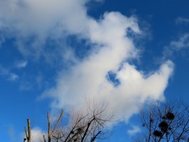 Csikóhal az égen. Vagy tűzokádó sárkány?