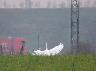 Távolabb ismét landolt