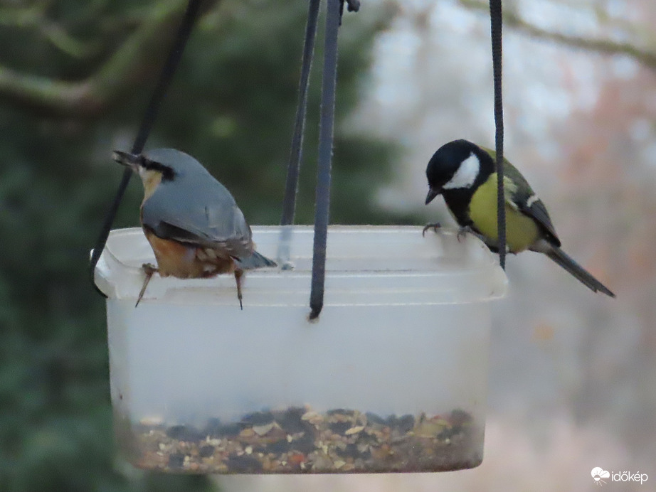 Nagy a forgalom a sziget etetőjén