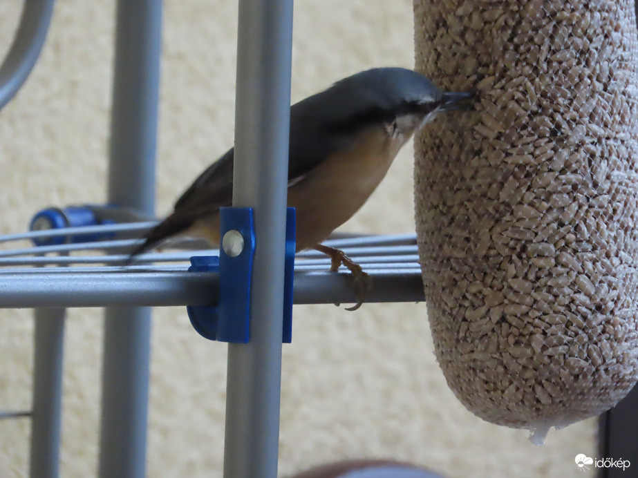 Nagy a délutáni sürgés-forgás 6.