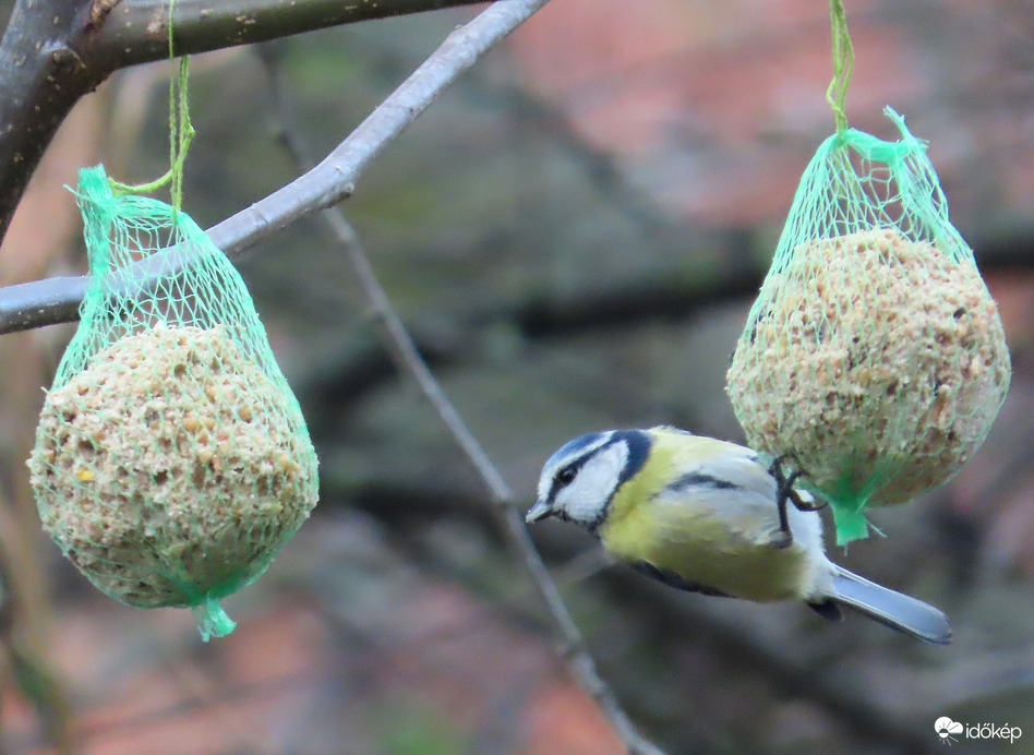 A másik is finom lehet?