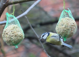 A másik is finom lehet?