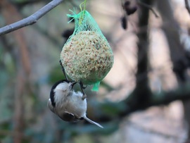 Teljesen kitekeredtem!