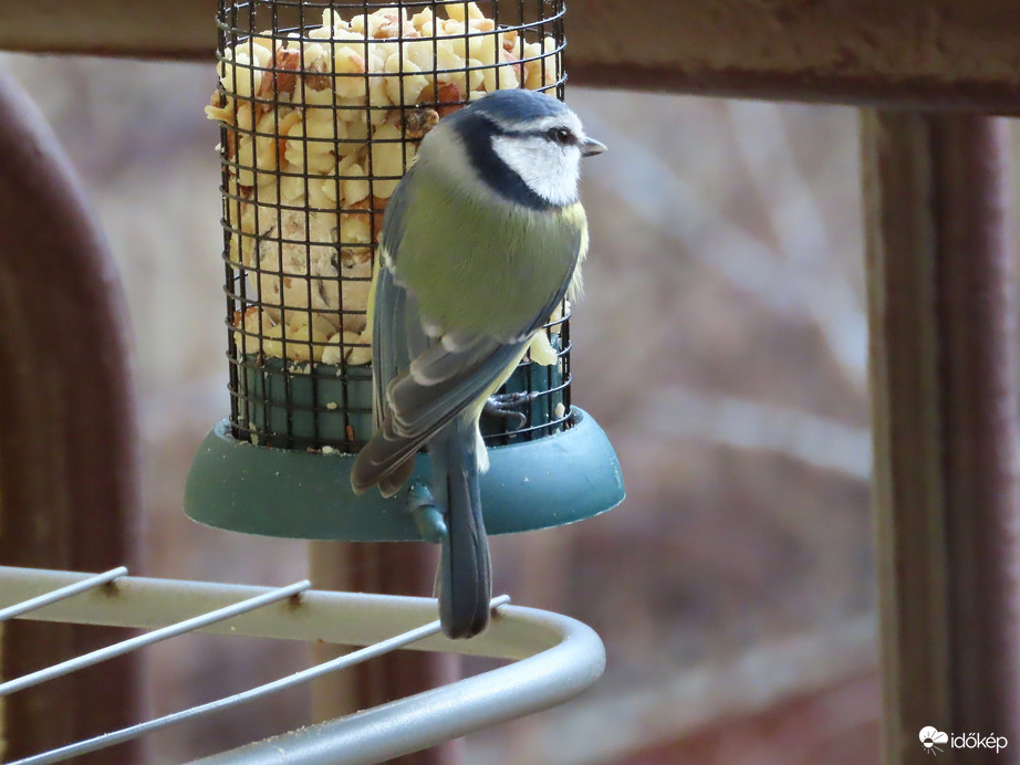 Folyamatosan jönnek