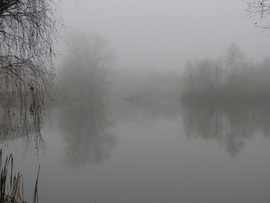 A Horgásztó ködben