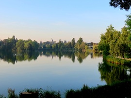 Nyugalom