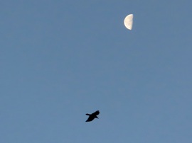 Derült reggelre ébredtünk