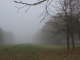 Hirtelen ereszkedett le a köd 1.