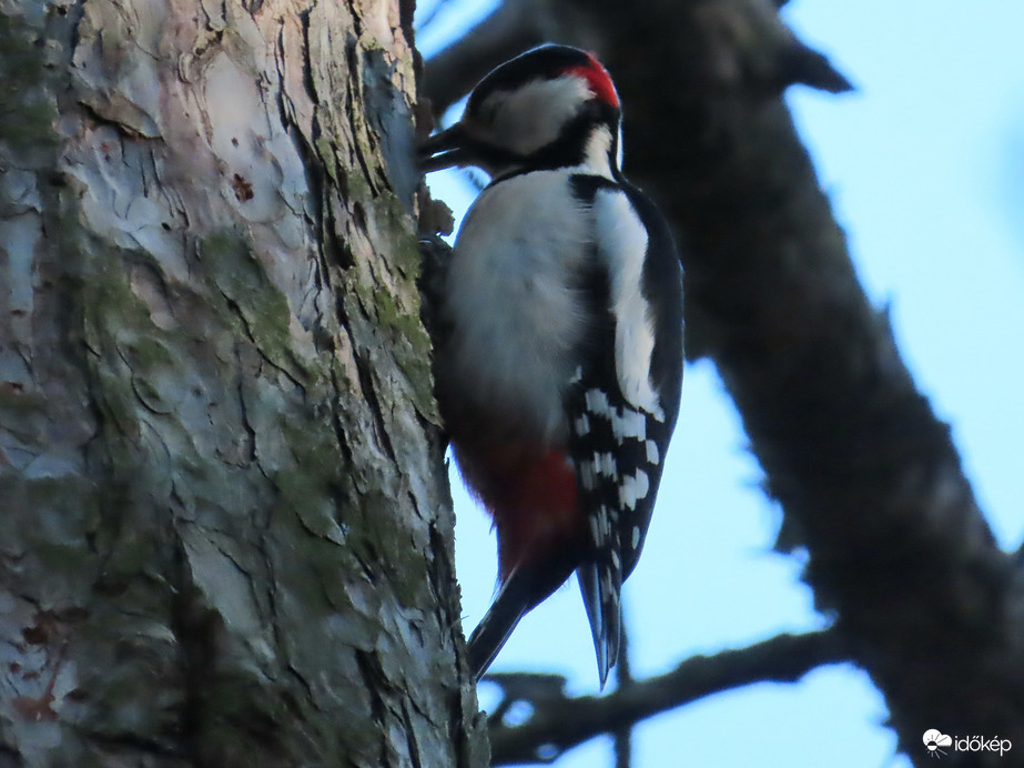 Itt találtam valamit!