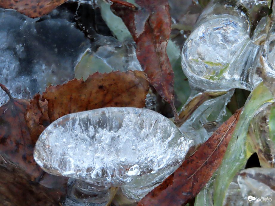 Kristálygyöngy falevélen