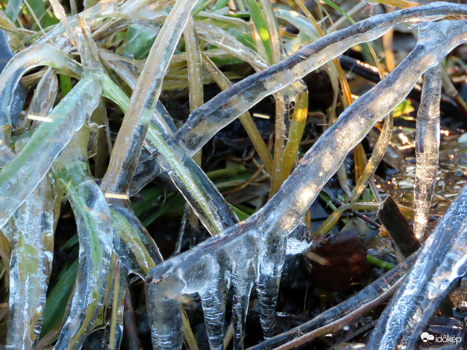 Jégbe fagyott fűszálak 1.