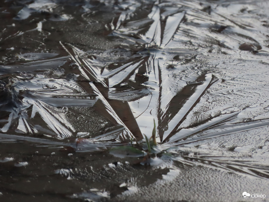 Jégminták a pocsolyában