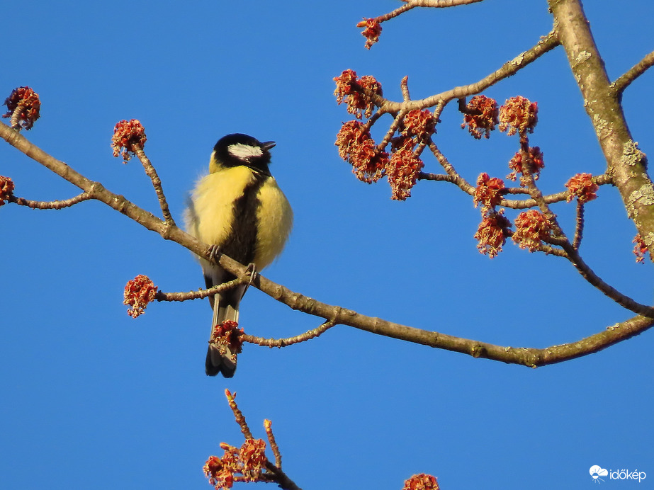 Köszöntöm a Napot!