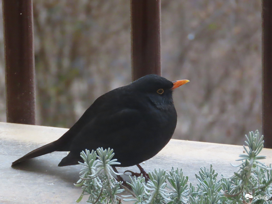 Szeretek itt ücsörögni!
