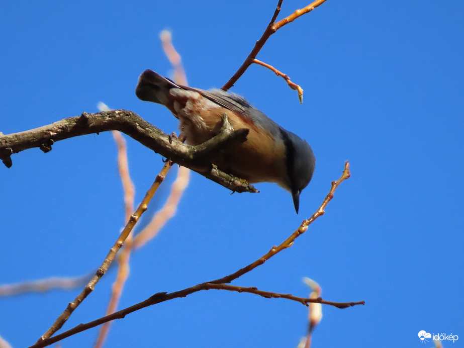 Mi történik ott lenn?