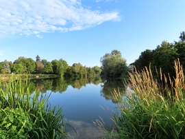 A Horgásztó nyugalma