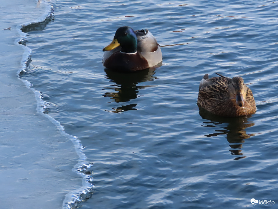 Itt még lehet lubickolni!