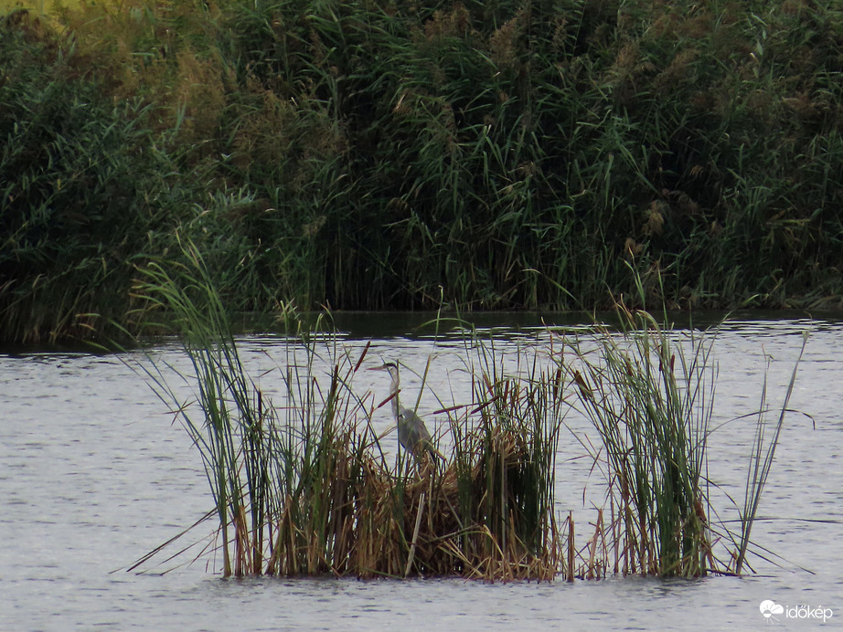 Ugye jól elbújtam?
