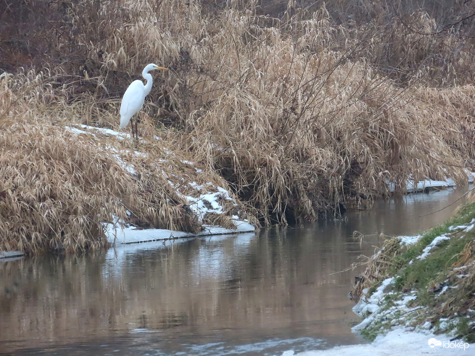 A patak túlpartján landolt
