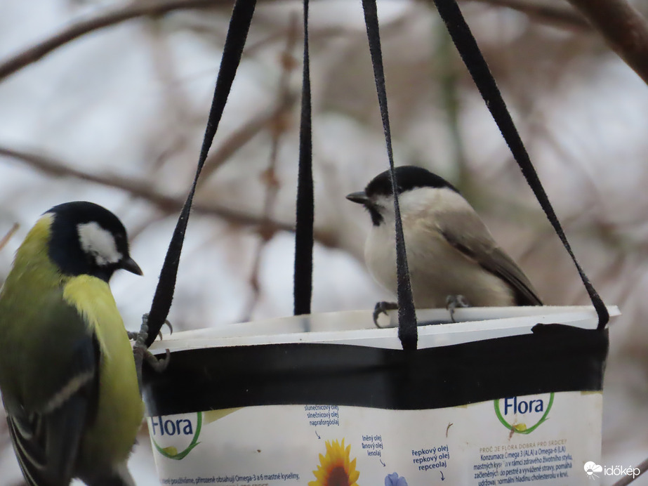 Melyikünk vegyen előbb?