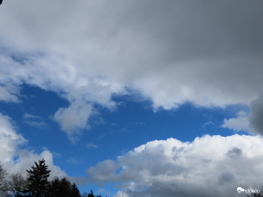 Néhány perc múlva