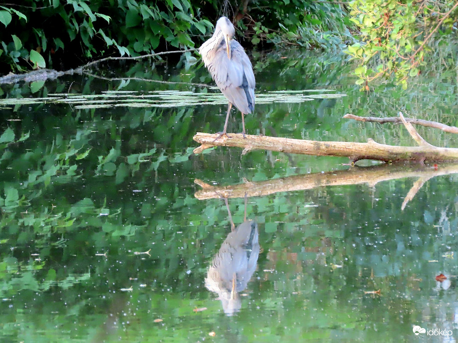 Tükröm, tükröm, mondd meg nékem...!