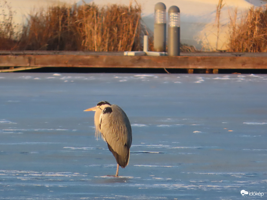 Gyűjtöm a D vitamint