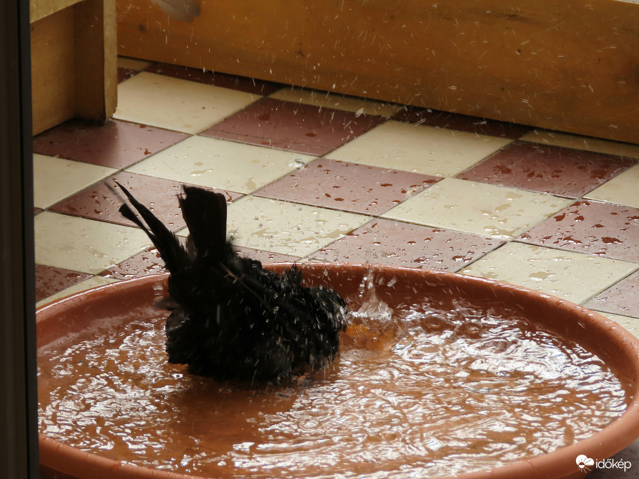 Ha pancsolok, a végén a szoba is úszik!