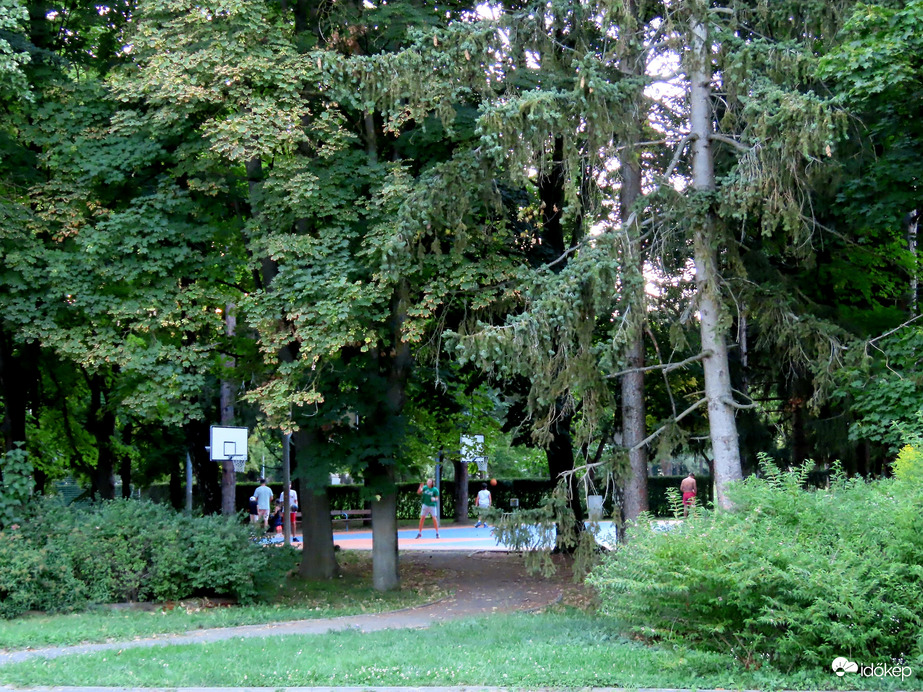 Élet a Sportligetben