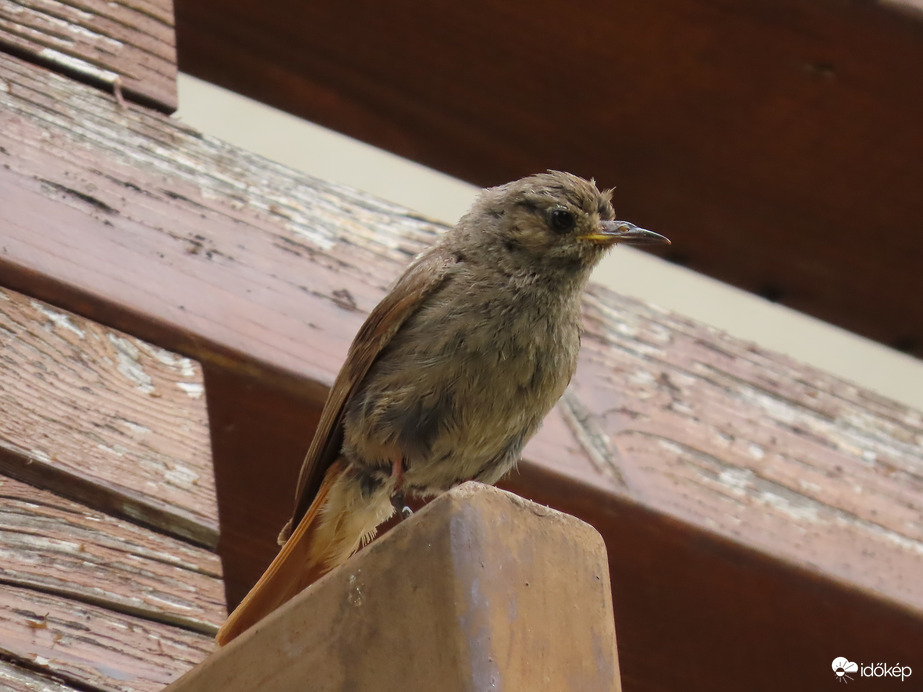 Mikor lesz már "tiszta a levegő"?