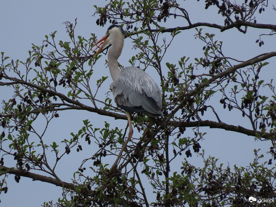 Hoppá! Lecsúszott a lábam!