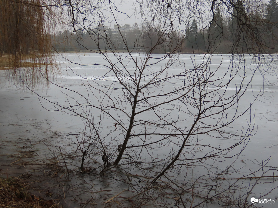 Jégbe fagyott fácskák