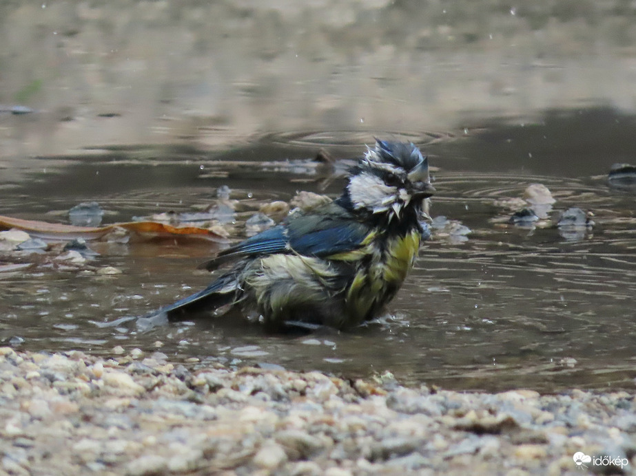 Alaposan megfürödtem?